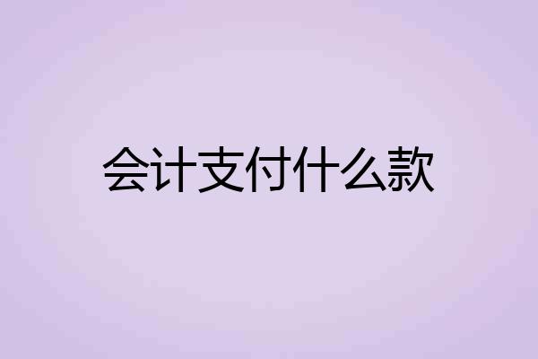 会计支付什么款