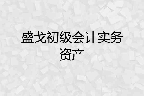 盛戈初级会计实务资产