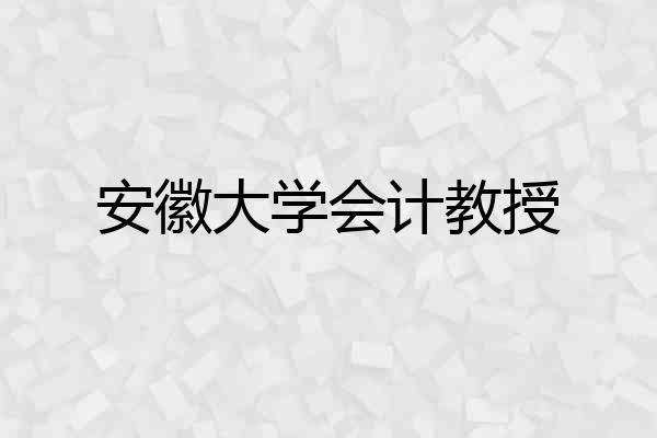 安徽大学会计教授