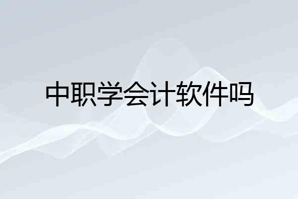 中职学会计软件吗