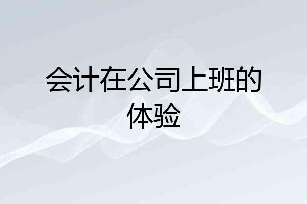 会计在公司上班的体验