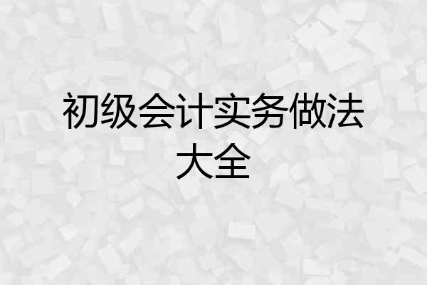 初级会计实务做法大全
