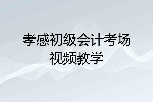 孝感初级会计考场视频教学