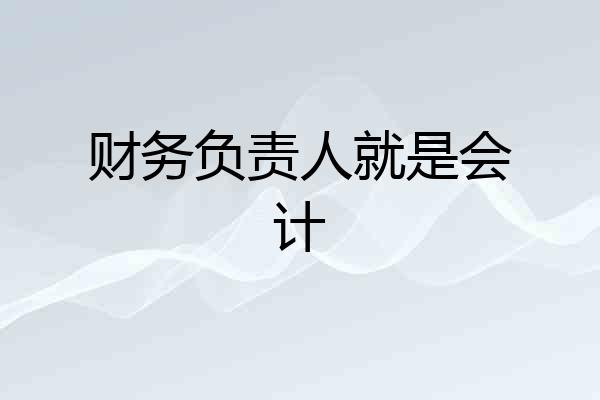 财务负责人就是会计