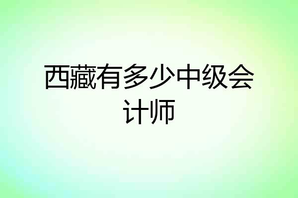 西藏有多少中级会计师