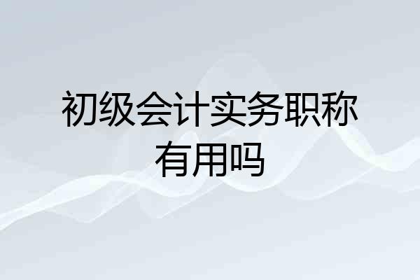 初级会计实务职称有用吗