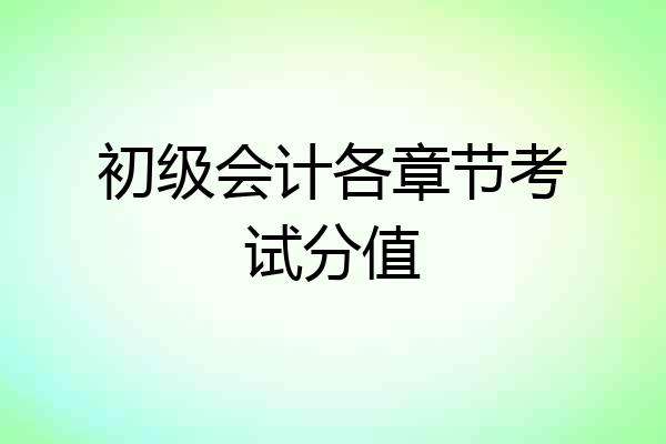 初级会计各章节考试分值