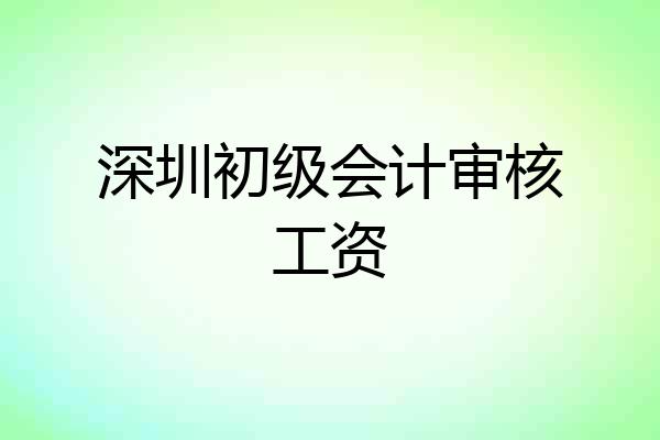 深圳初级会计审核工资