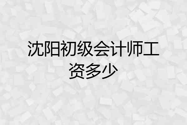 沈阳初级会计师工资多少