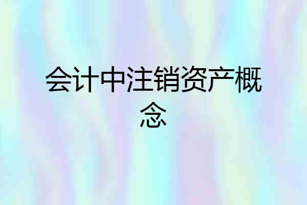 会计中注销资产概念