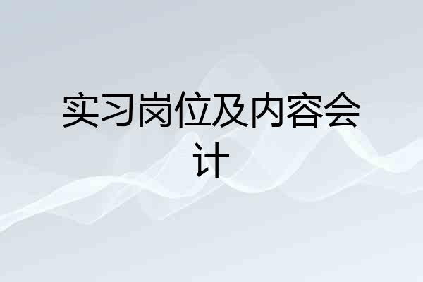实习岗位及内容会计
