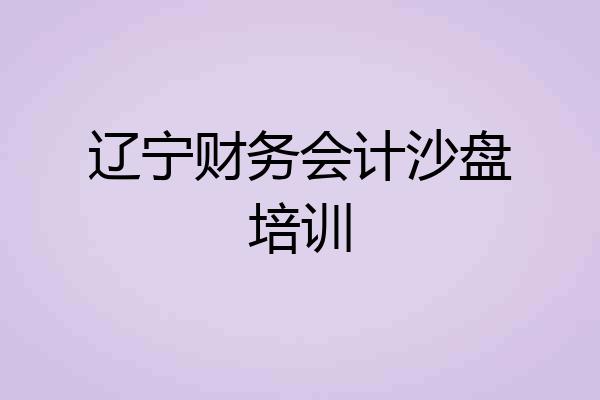 辽宁财务会计沙盘培训
