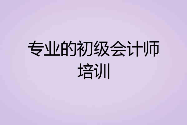 专业的初级会计师培训
