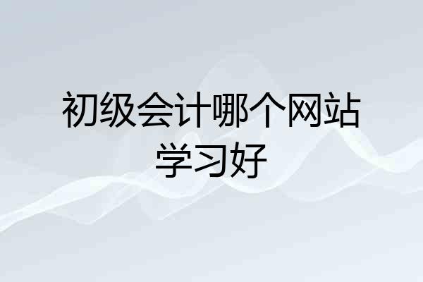 初级会计哪个网站学习好