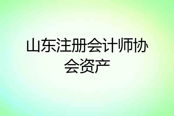 山东注册会计师协会资产