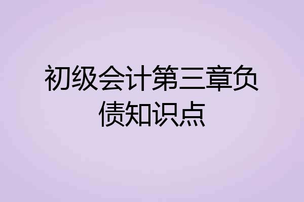 初级会计第三章负债知识点