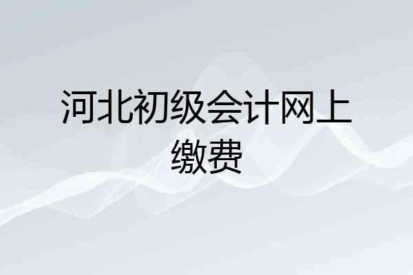 河北初级会计网上缴费