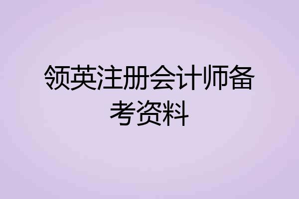 领英注册会计师备考资料