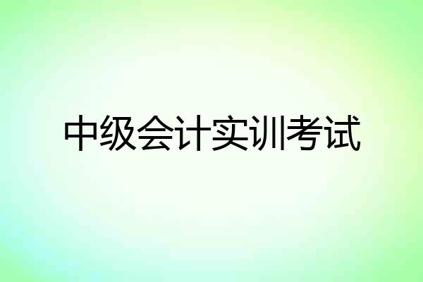 中级会计实训考试