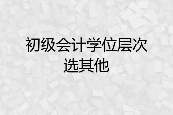 初级会计学位层次选其他