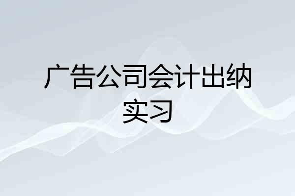 广告公司会计出纳实习