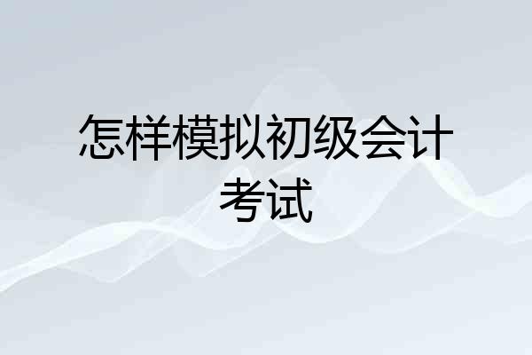 怎样模拟初级会计考试