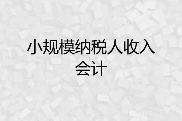 小规模纳税人收入会计
