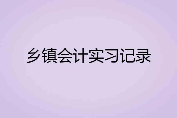 乡镇会计实习记录