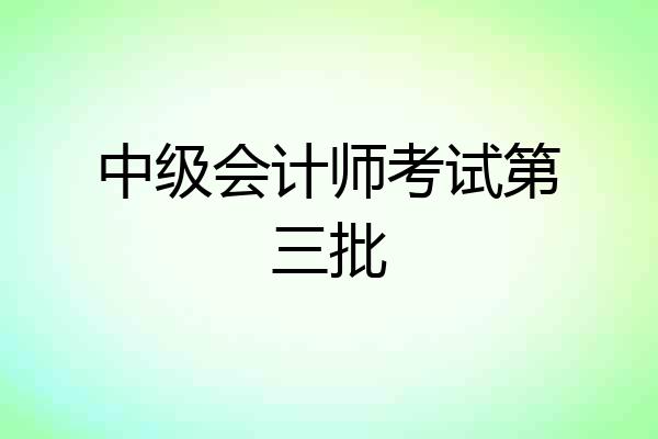 中级会计师考试第三批