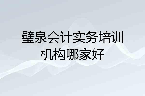 璧泉会计实务培训机构哪家好