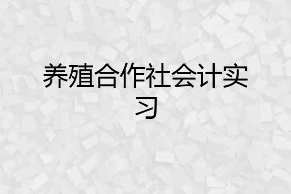 养殖合作社会计实习