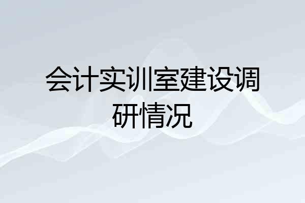 会计实训室建设调研情况