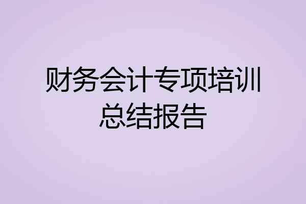 财务会计专项培训总结报告