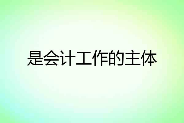 是会计工作的主体