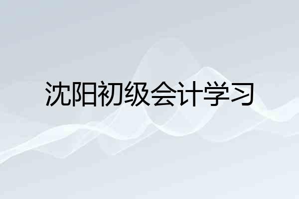 沈阳初级会计学习