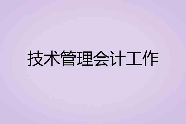 技术管理会计工作