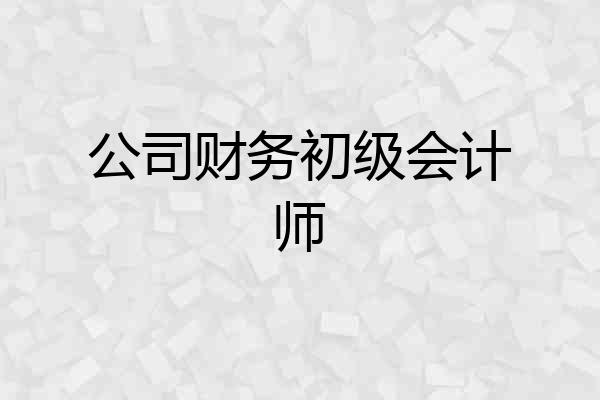 公司财务初级会计师