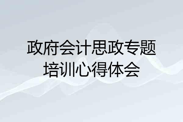 政府会计思政专题培训心得体会