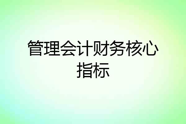 管理会计财务核心指标