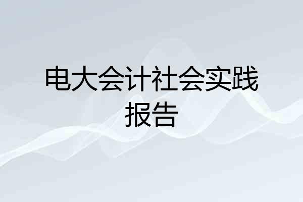 电大会计社会实践报告