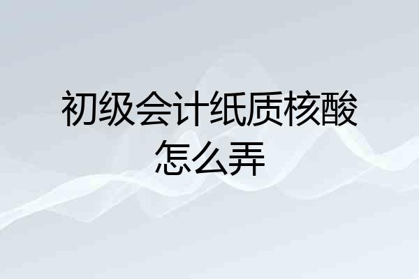 初级会计纸质核酸怎么弄