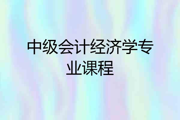 中级会计经济学专业课程