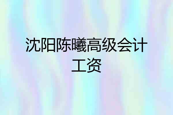 沈阳陈曦高级会计工资