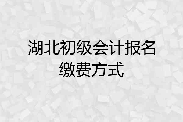 湖北初级会计报名缴费方式