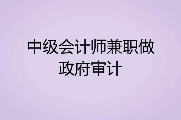 中级会计师兼职做政府审计