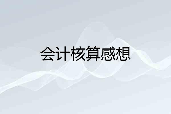 会计核算感想