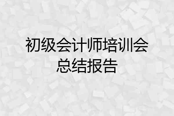 初级会计师培训会总结报告