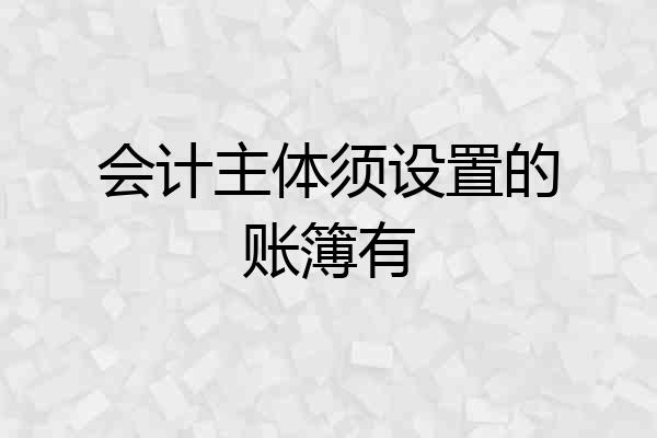 会计主体须设置的账簿有