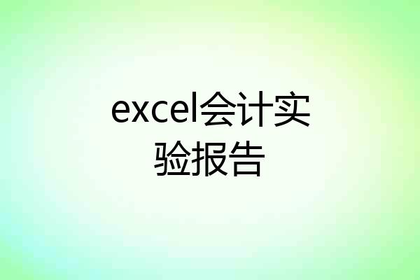 excel会计实验报告