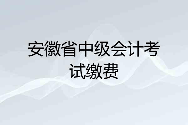 安徽省中级会计考试缴费